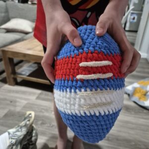 Bulldogs indoor footy